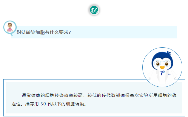对待转染细胞有什么要求？通常健康的细胞转染效率较高，较低的传代数能确保每次实验所用细胞的稳定性。推荐用 50 代以下的细胞转染。