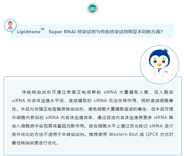 Lipidnano™Super RNAi转染试剂与传统转染试剂明显不同的方面？传统转染试剂可通过表面正电荷帮助 siRNA 大量摄取入胞，但入胞后 siRNA 内含体逃逸水平低，造成摄取的 siRNA 无法发挥作用，同时造成细胞毒性。本品为非强正电型脂质转染试剂，避免细胞大量摄取造成的毒性，但本品可提升细胞内吞后的 siRNA 内含体逃逸效率，通过促进内含体逃逸使更多 siRNA 释放入细胞质中实现高效基因沉默作用。故在细胞水平上通过荧光标记 siRNA 进行条件优化的方法不适用于本转染试剂。推荐使用 Western Blot 或 QPCR 方式对最佳转染浓度进行优化。