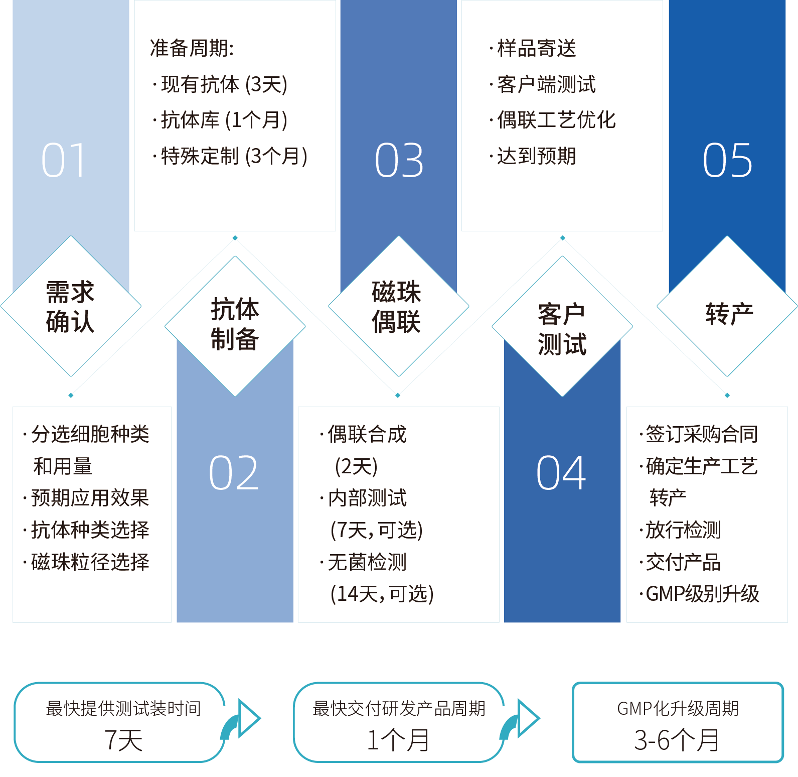 ag尊龙z6mg细胞分选激活磁珠/分选磁珠定制，定制流程