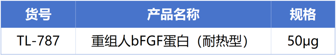 ag尊龙z6mg新一代耐热型重组人bFGF蛋白正式发布！高温环境下的修复王者! 