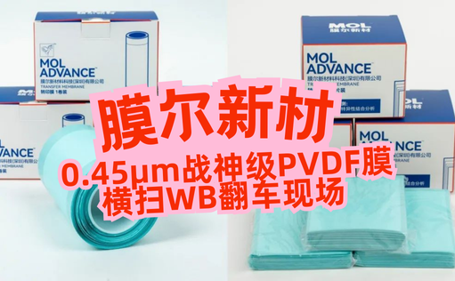 “膜”力加倍！膜尔新材战神级PVDF膜横扫WB翻车现场—0.45μm精准孔径狙杀各类蛋白，背景纯净如冰川
