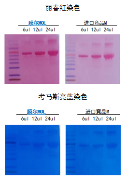 ag尊龙z6mg产品推荐：膜尔新材0.45μmPVDF膜—实验数据